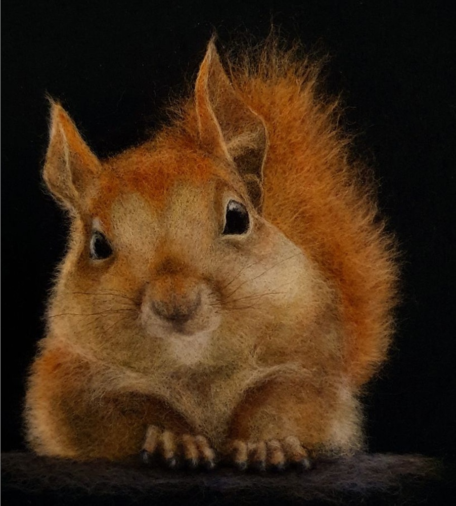 Red Squirrel